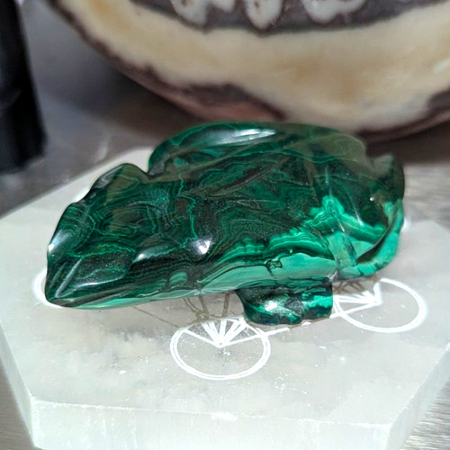 Malachite frog carving - ,